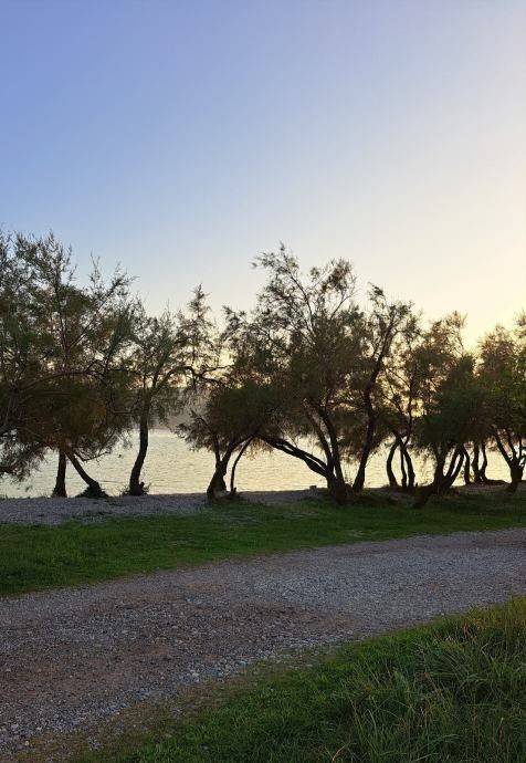 Poljoprivredno zemljište, Prodaja, Starigrad, Starigrad