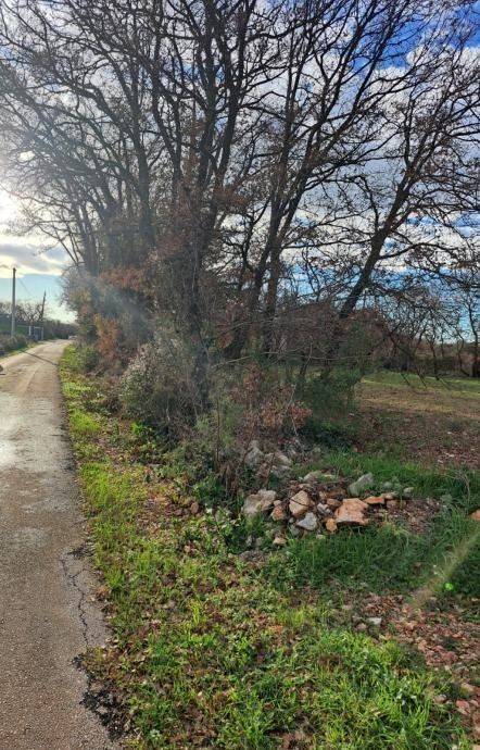 Građevinsko zemljište, Prodaja, Poličnik, Briševo