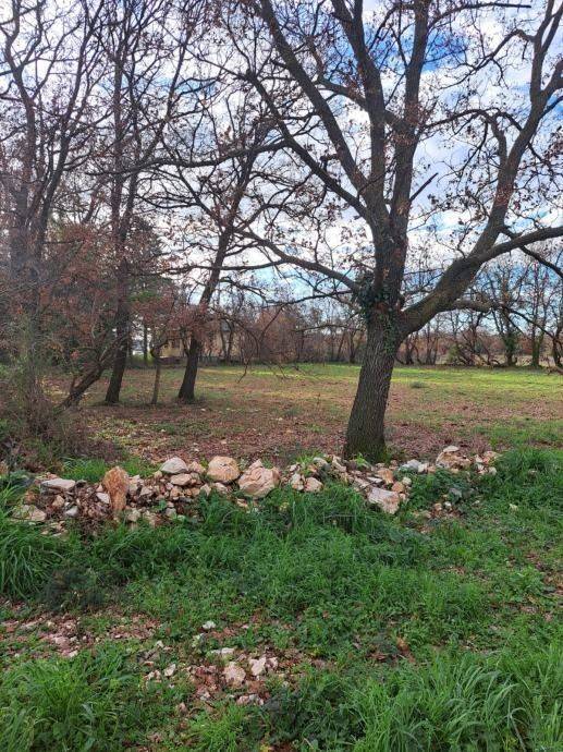 Građevinsko zemljište, Prodaja, Poličnik, Briševo