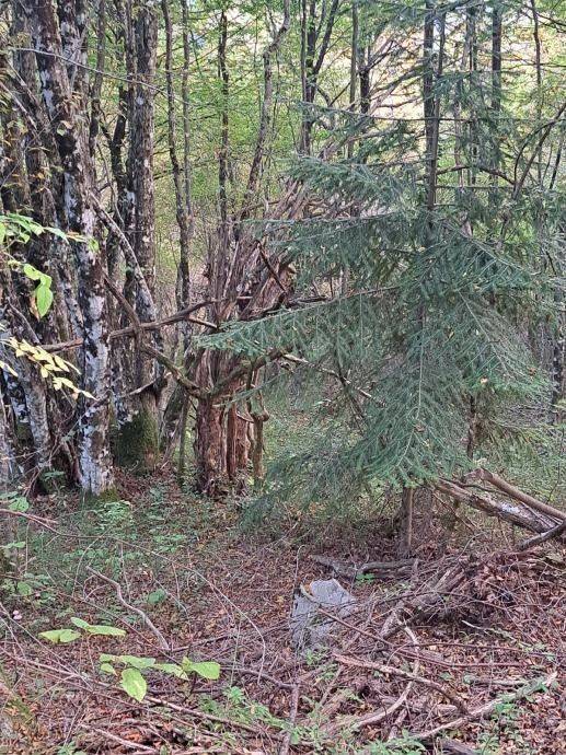 Građevinsko zemljište, Prodaja, Gospić - Okolica, Bužim