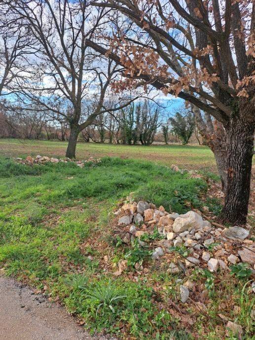 Građevinsko zemljište, Prodaja, Poličnik, Briševo