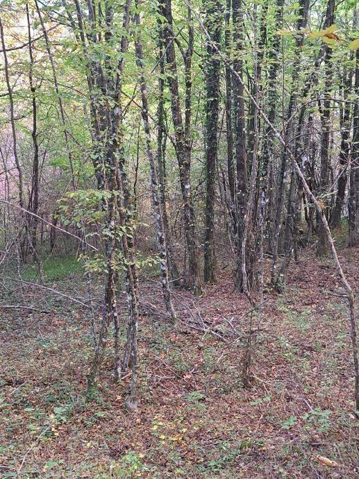 Građevinsko zemljište, Prodaja, Gospić - Okolica, Bužim