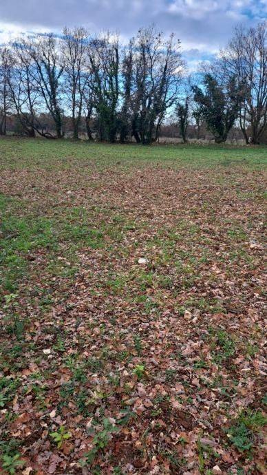 Građevinsko zemljište, Prodaja, Poličnik, Briševo