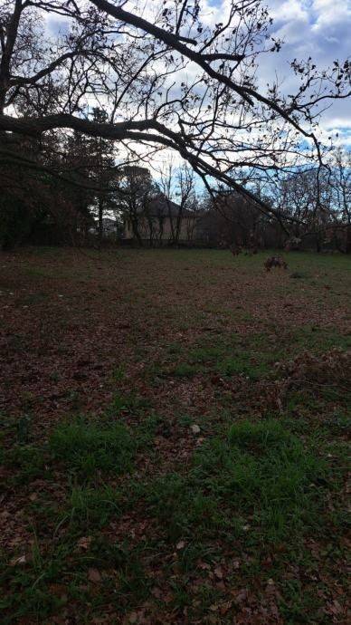 Građevinsko zemljište, Prodaja, Poličnik, Briševo