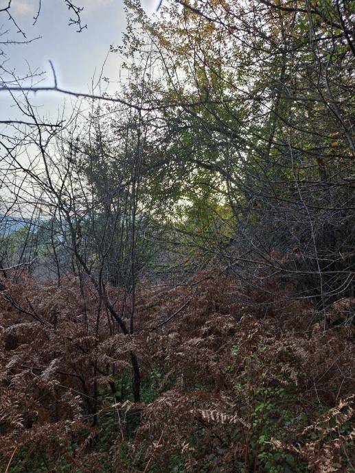 Građevinsko zemljište, Prodaja, Gospić - Okolica, Bužim