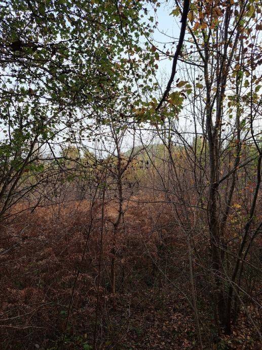 Građevinsko zemljište, Prodaja, Gospić - Okolica, Bužim