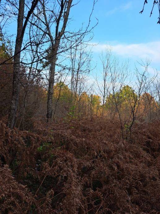 Građevinsko zemljište, Prodaja, Gospić - Okolica, Bužim
