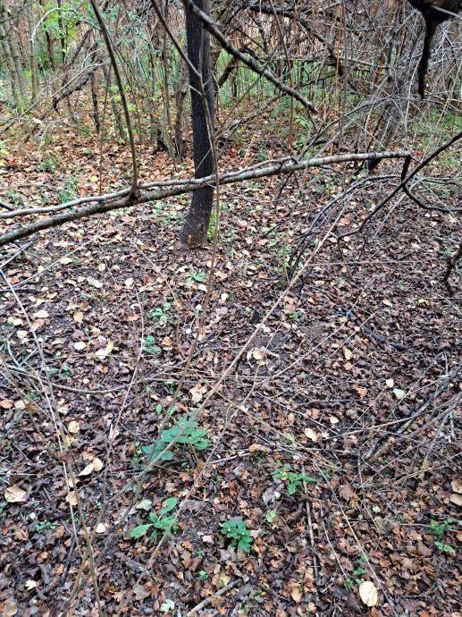 Građevinsko zemljište, Prodaja, Gospić - Okolica, Bužim