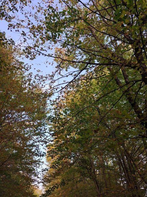 Građevinsko zemljište, Prodaja, Gospić - Okolica, Bužim