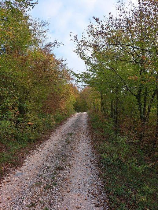Građevinsko zemljište, Prodaja, Gospić - Okolica, Bužim