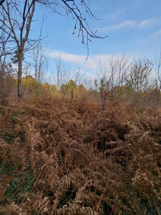 Građevinsko zemljište, Prodaja, Gospić - Okolica, Bužim