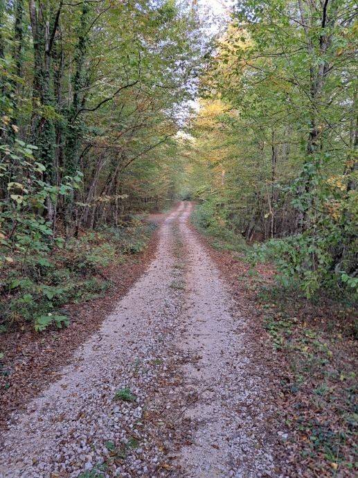Građevinsko zemljište, Prodaja, Gospić - Okolica, Bužim
