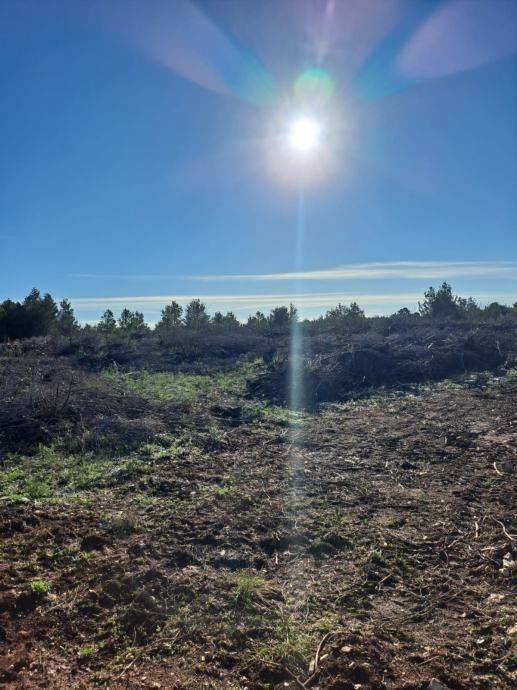 Građevinsko zemljište, Prodaja, Novigrad, Novigrad