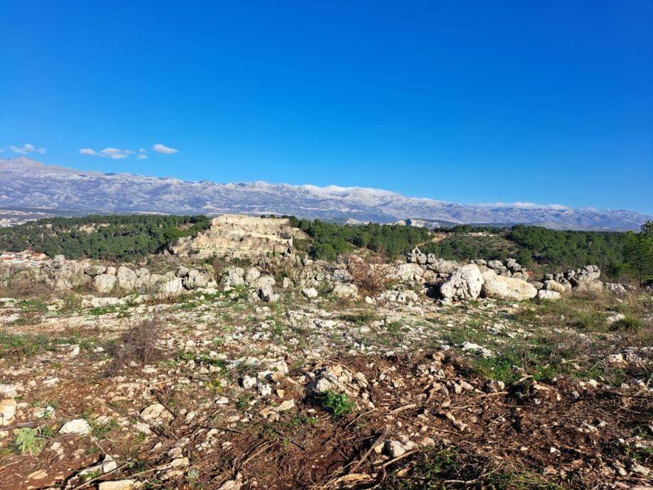 Građevinsko zemljište, Prodaja, Novigrad, Novigrad