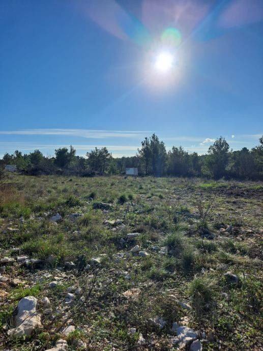 Građevinsko zemljište, Prodaja, Novigrad, Novigrad