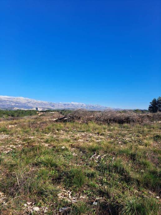 Građevinsko zemljište, Prodaja, Novigrad, Novigrad