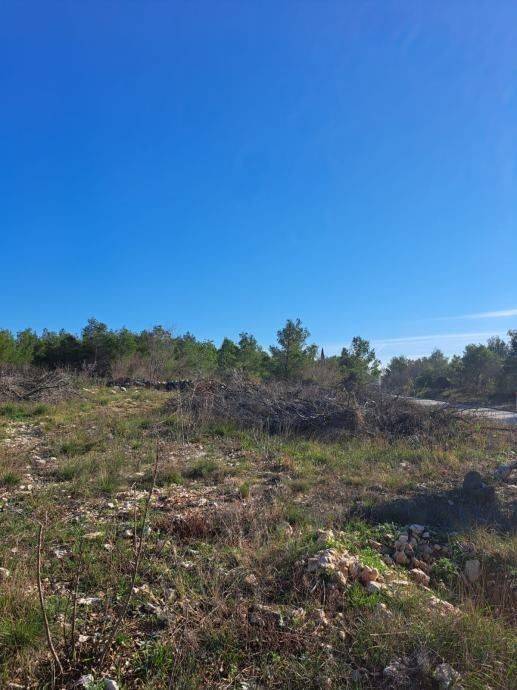 Građevinsko zemljište, Prodaja, Novigrad, Novigrad