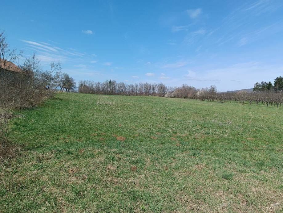 Poljoprivredno zemljište, Prodaja, Gospić - Okolica, Lički Osik