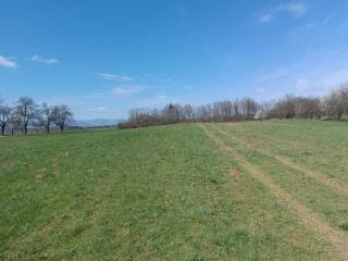 Poljoprivredno zemljište, Prodaja, Gospić - Okolica, Lički Osik