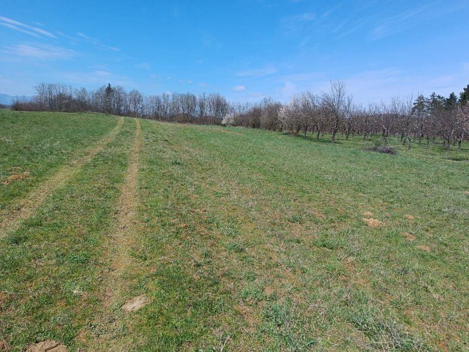 Poljoprivredno zemljište, Prodaja, Gospić - Okolica, Lički Osik