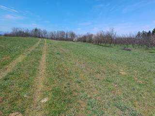Poljoprivredno zemljište, Prodaja, Gospić - Okolica, Lički Osik
