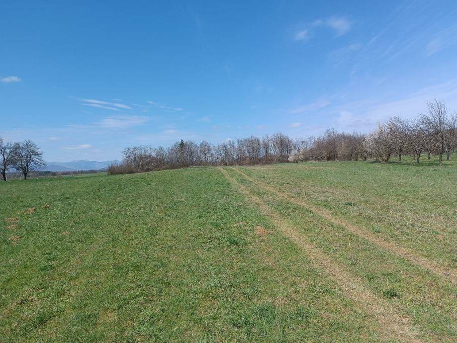 Poljoprivredno zemljište, Prodaja, Gospić - Okolica, Lički Osik