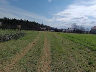 Poljoprivredno zemljište, Prodaja, Gospić - Okolica, Lički Osik