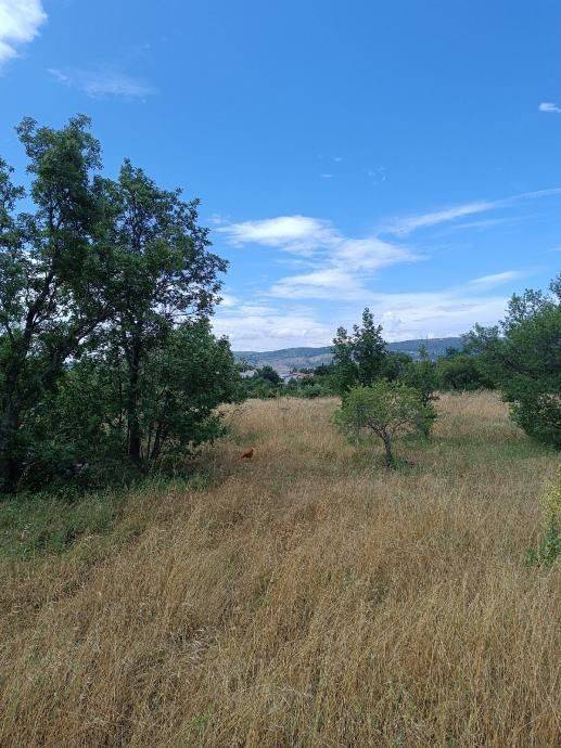 Poljoprivredno zemljište, Prodaja, Starigrad, Seline