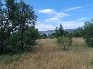 Poljoprivredno zemljište, Prodaja, Starigrad, Seline