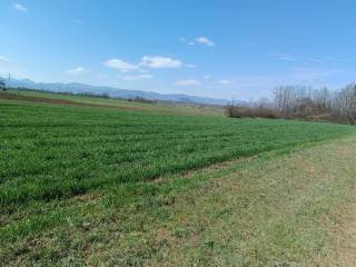 Poljoprivredno zemljište, Prodaja, Gospić - Okolica, Lički Osik