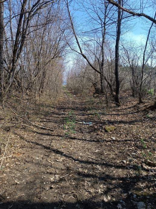 Poljoprivredno zemljište, Prodaja, Gospić - Okolica, Lički Osik
