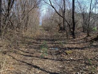 Poljoprivredno zemljište, Prodaja, Gospić - Okolica, Lički Osik