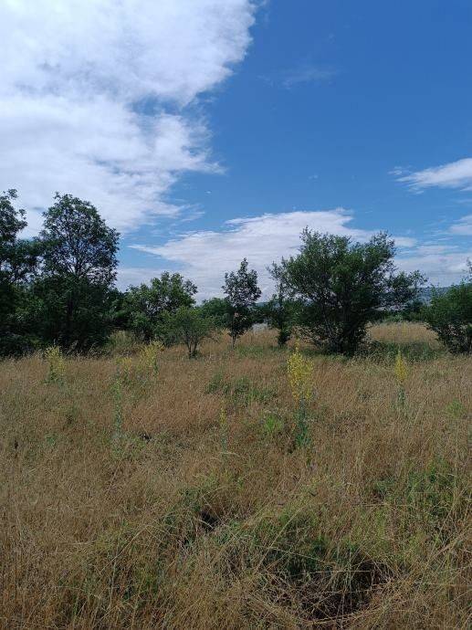 Poljoprivredno zemljište, Prodaja, Starigrad, Seline
