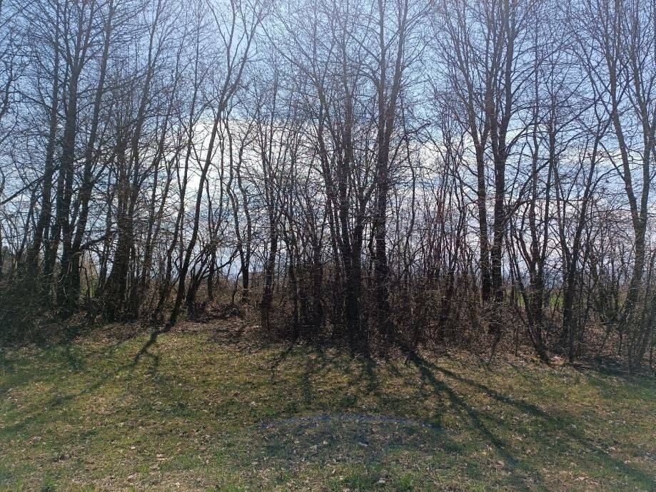 Poljoprivredno zemljište, Prodaja, Gospić - Okolica, Lički Osik