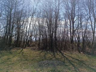 Poljoprivredno zemljište, Prodaja, Gospić - Okolica, Lički Osik