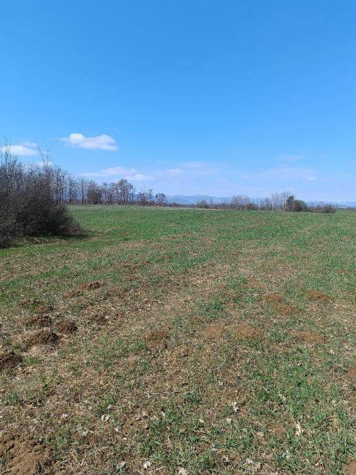 Poljoprivredno zemljište, Prodaja, Gospić - Okolica, Lički Osik