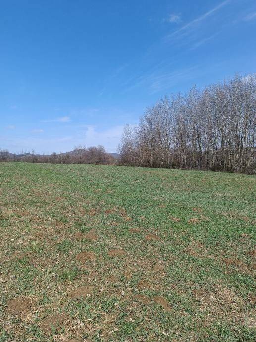 Poljoprivredno zemljište, Prodaja, Gospić - Okolica, Lički Osik