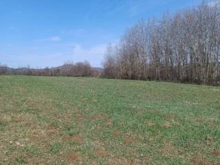 Poljoprivredno zemljište, Prodaja, Gospić - Okolica, Lički Osik