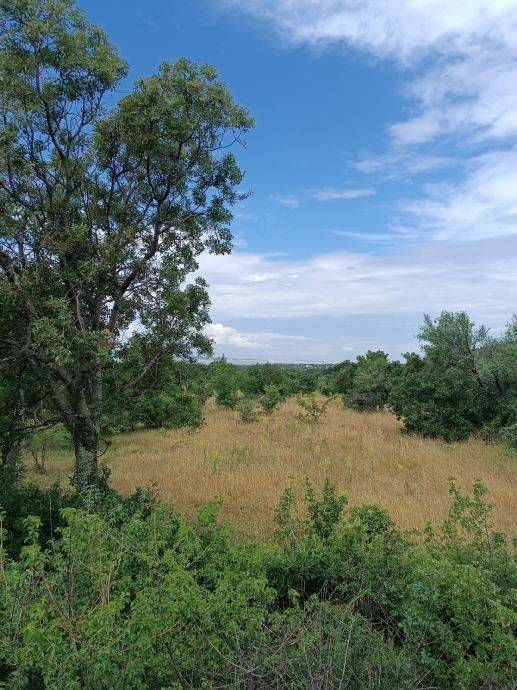 Poljoprivredno zemljište, Prodaja, Starigrad, Seline