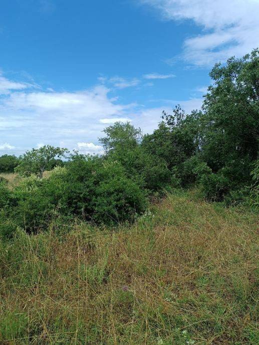 Poljoprivredno zemljište, Prodaja, Starigrad, Seline