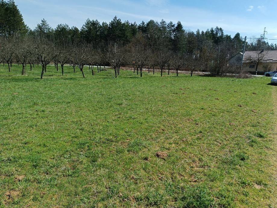Poljoprivredno zemljište, Prodaja, Gospić - Okolica, Lički Osik