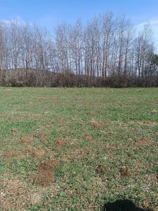 Poljoprivredno zemljište, Prodaja, Gospić - Okolica, Lički Osik