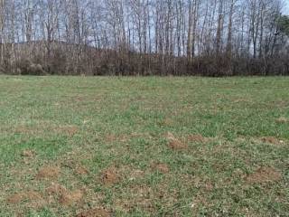 Poljoprivredno zemljište, Prodaja, Gospić - Okolica, Lički Osik