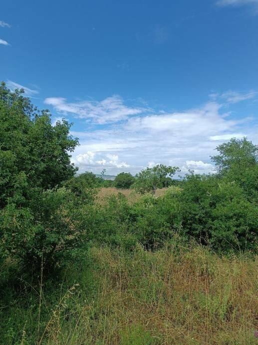 Poljoprivredno zemljište, Prodaja, Starigrad, Seline