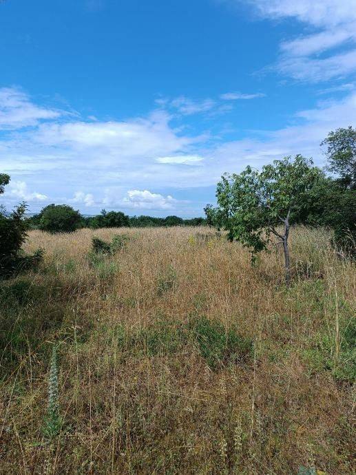 Poljoprivredno zemljište, Prodaja, Starigrad, Seline
