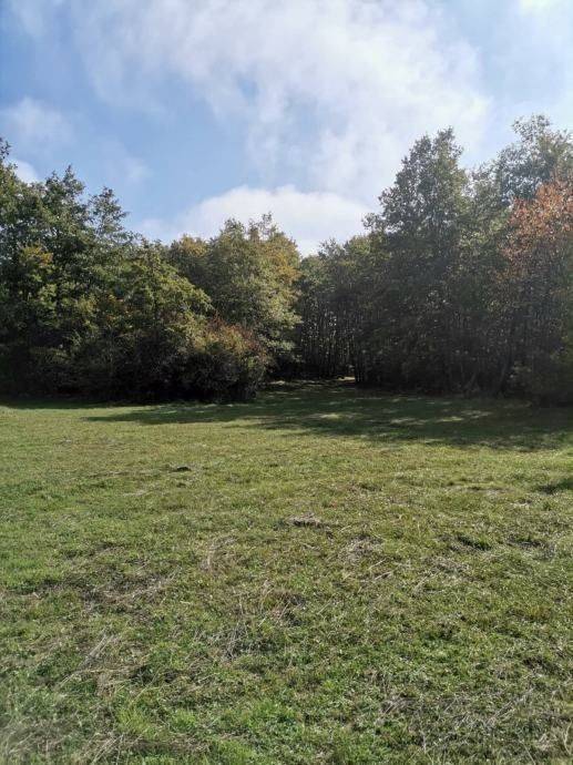 Poljoprivredno zemljište, Prodaja, Lovinac, Lovinac