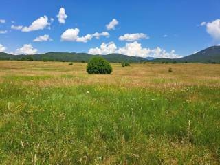 Poljoprivredno zemljište, Prodaja, Lovinac, Gornja Ploča