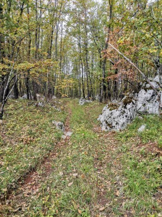 Poljoprivredno zemljište, Prodaja, Lovinac, Lovinac