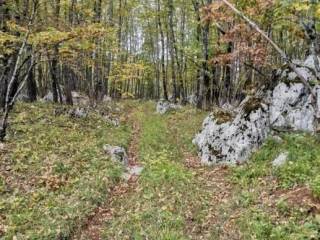 Poljoprivredno zemljište, Prodaja, Lovinac, Lovinac