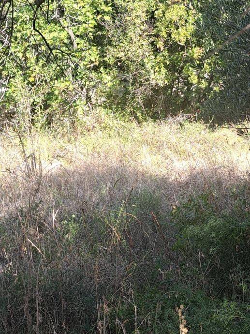 Građevinsko zemljište, Prodaja, Starigrad, Starigrad